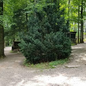 Claws N Paws - entrance/exit for alligator loop