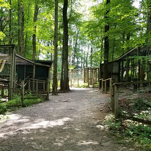 Claws N Paws - Right side of loop