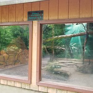 Claws N Paws - "Sliders"