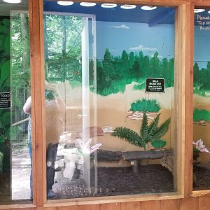 Claws N Paws - Cane Toad, Gila Monster