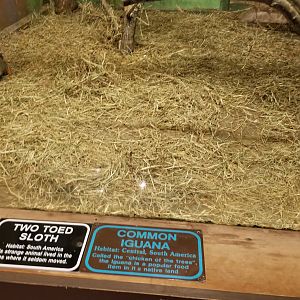 Claws N Paws - tortoise ID?