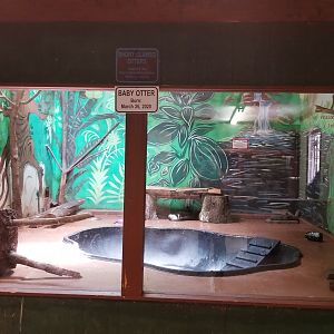 Claws N Paws - Short clawed otters