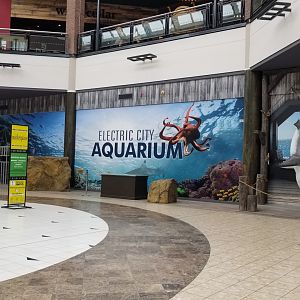 Electric City - presentation area between shop and entrance