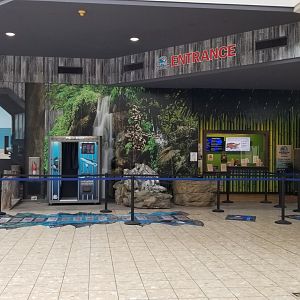 Electric City - Entrance, photo op spot