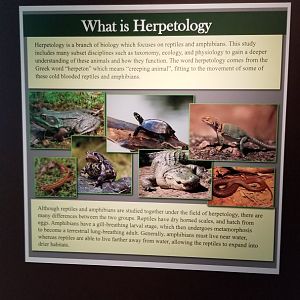 Electric City - Sign examples