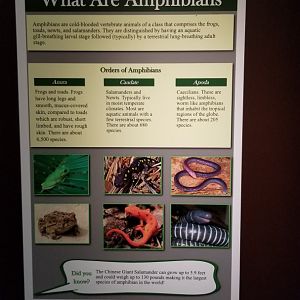 Electric City - Sign examples