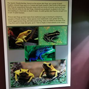 Electric City - Sign examples