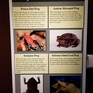 Electric City - Sign examples