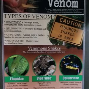 Electric City - Sign examples