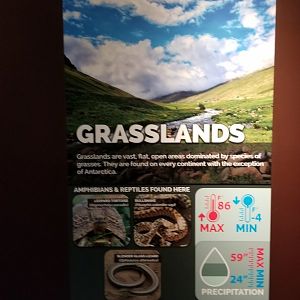 Electric City - Sign examples