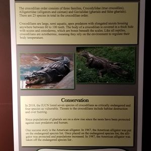 Electric City - Sign examples