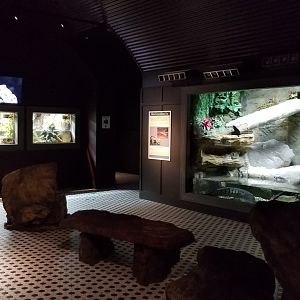 Electric City - Crocodile room