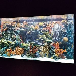 Electric City - currently empty tank