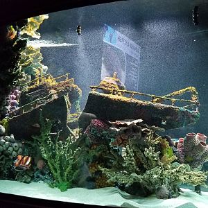 Electric City - empty tank