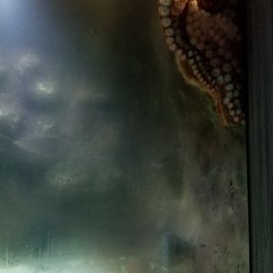 Electric City - Giant Pacific Octopus