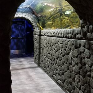 Electric City - tunnel