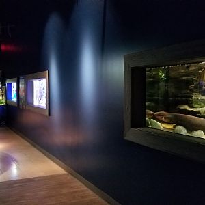 Electric City - Final hallway