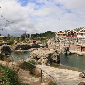 The Last Frontier - Steller sea lion enclosure