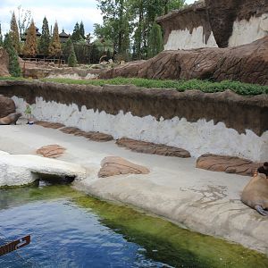 The Land of Cold - Walrus enclosure