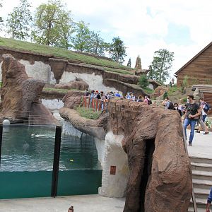 The Land of Cold - Polar bear enclosure