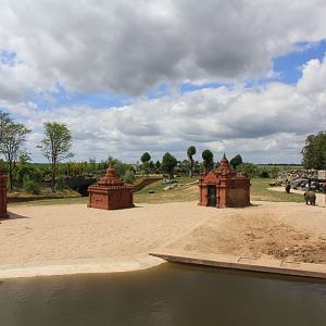 Asian elephant enclosure