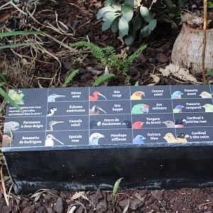 Bird-signs in the Tropical Hall