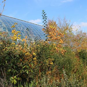 Side-view Tropical Hall