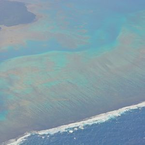 Fijian coral reef.