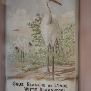 Old sign Siberian crane