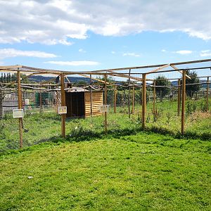 New Aviary - Axe Valley