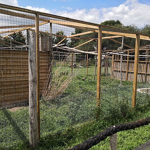 New Aviary - Axe Valley