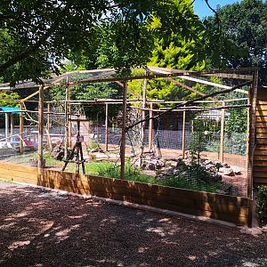 New Aviary - Axe Valley