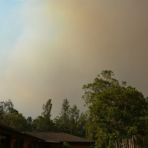 Recent bushfires.