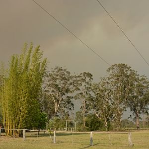 Recent bushfires.
