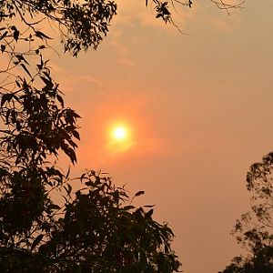 Setting sun through smoke.