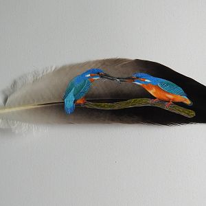 Kingfishers on feather