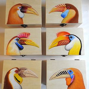 Wood boxes, hornbills
