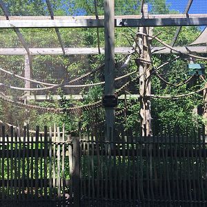 Golden Lion Tamarin Exhibit