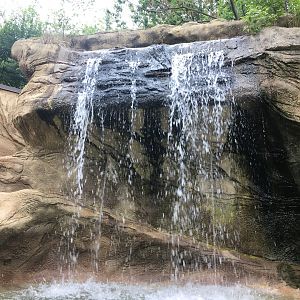 Otter exhibit waterfall