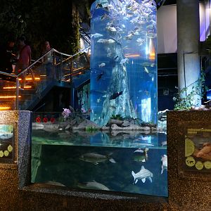 Asian Rivers exhibit