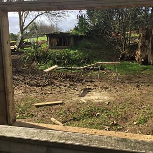 Cheetah Exhibit (Under Construction)