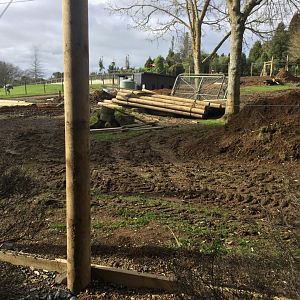 Cheetah Exhibit (Under Construction)