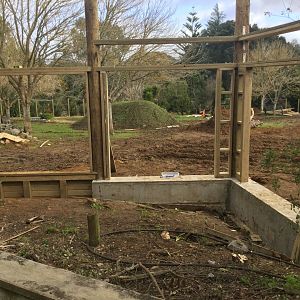 Cheetah Exhibit (Under Construction)