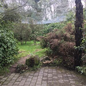 New Zealand Free Flight Sanctuary