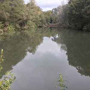 New Zealand Wetlands Exhibit