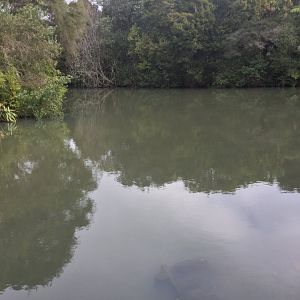 New Zealand Wetlands Exhibit