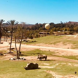 San Diego zoo Safari Park-African plains overview