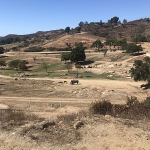 San Diego zoo Safari Park-Asian savanna