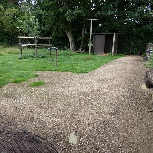 Emu enclosure
