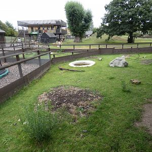Outdoor Tortoise enclosure